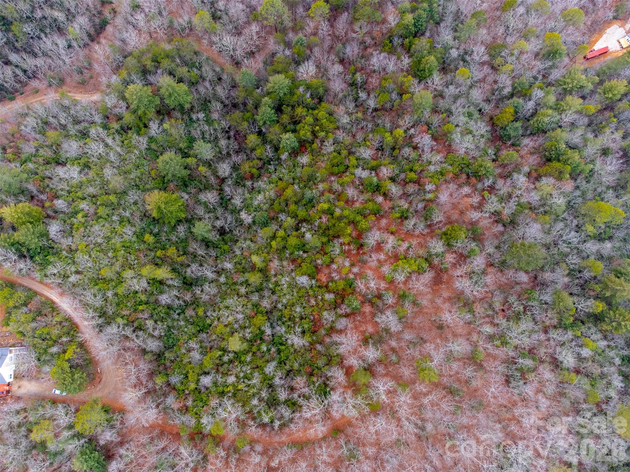 9999 Lower Burningtown Road Franklin, NC 28734 - Photo 24 of 26 a view of a plants with a tree