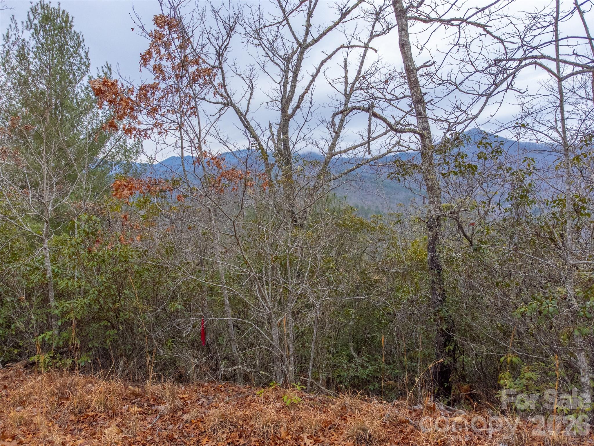 9999 Lower Burningtown Road Franklin, NC 28734 - Photo 25 of 26 a view of a yard