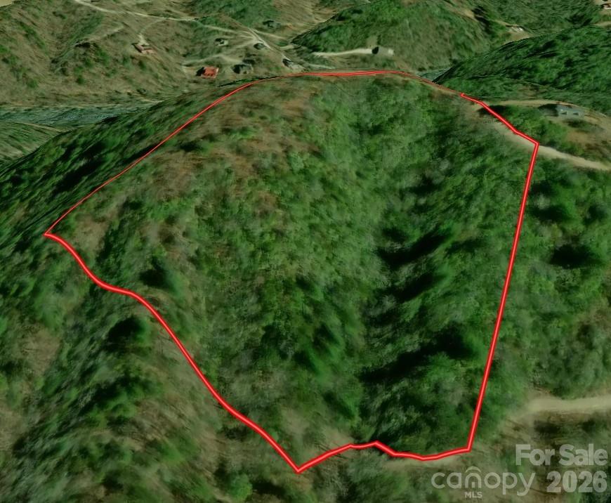 9999 Lower Burningtown Road Franklin, NC 28734 - Photo 26 of 26 a view of a yard with a lush green forest