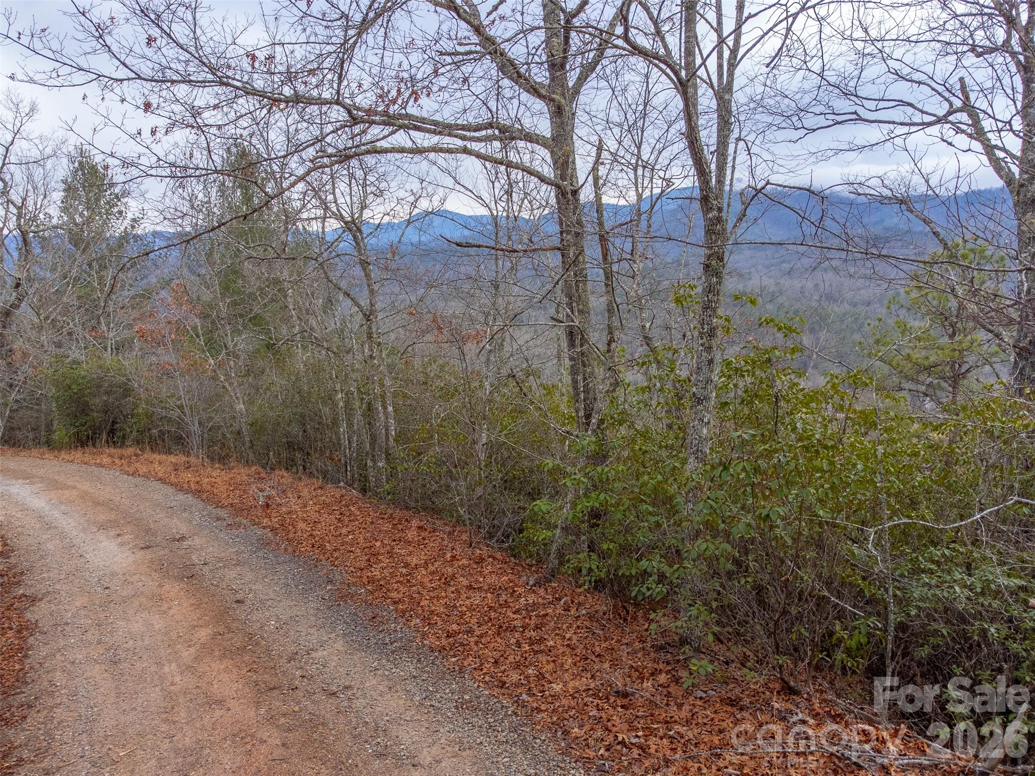 9999 Lower Burningtown Road Franklin, NC 28734 - Photo 3 of 26 a view of a forest with trees
