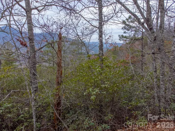 a view of a forest with a yard