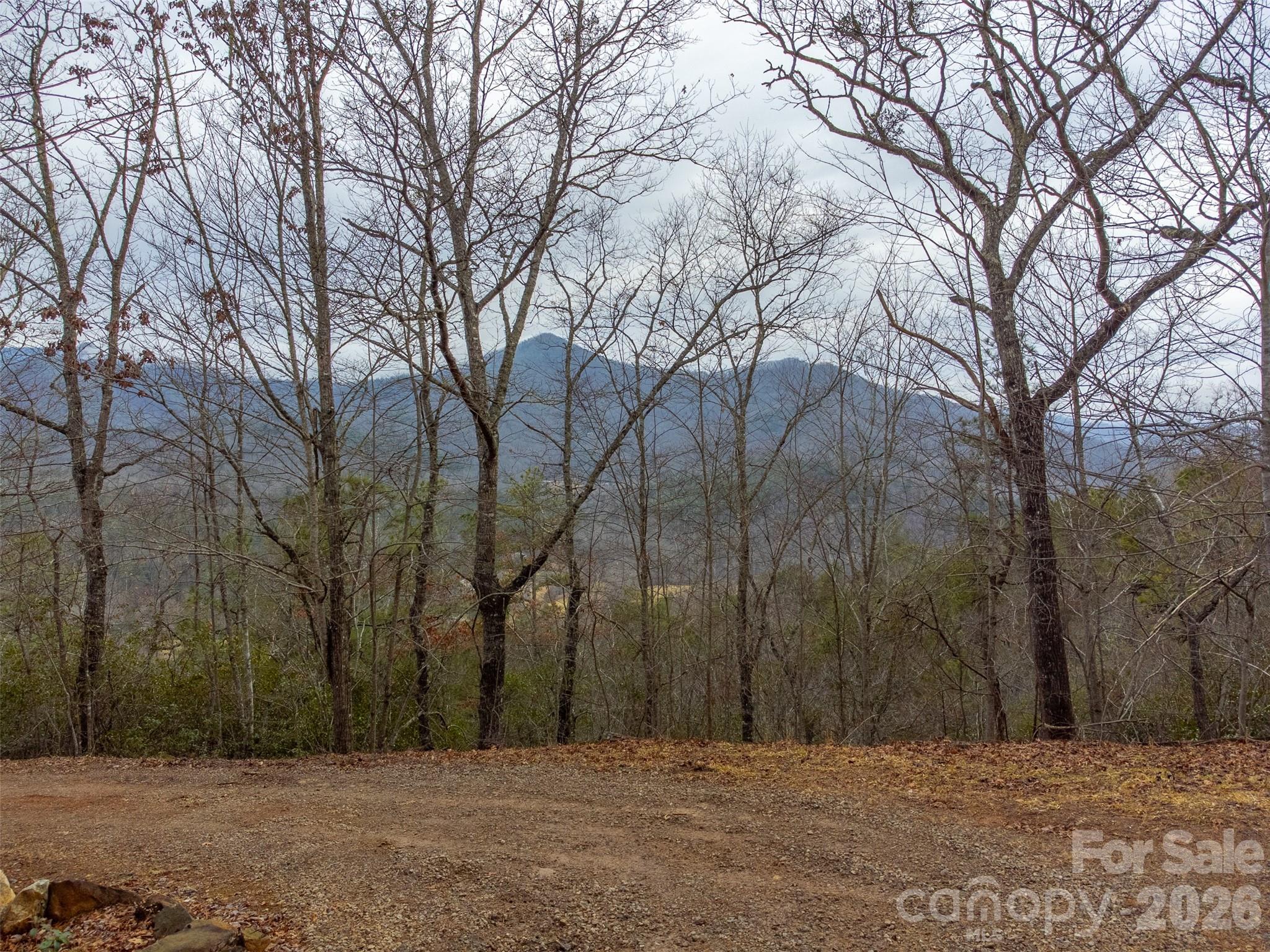 9999 Lower Burningtown Road Franklin, NC 28734 - Photo 6 of 26 a street view with large trees