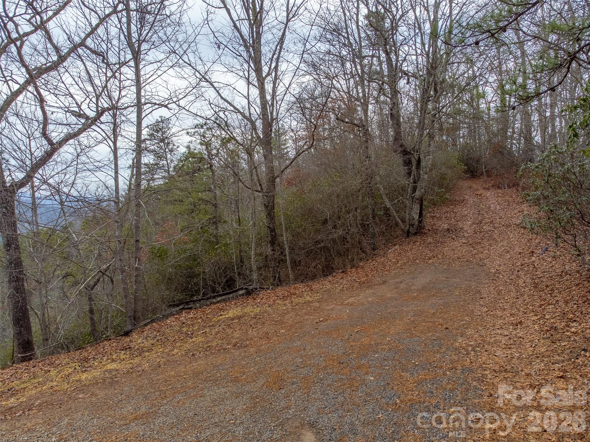 9999 Lower Burningtown Road Franklin, NC 28734 - Photo 7 of 26 a view of a forest with trees in the background