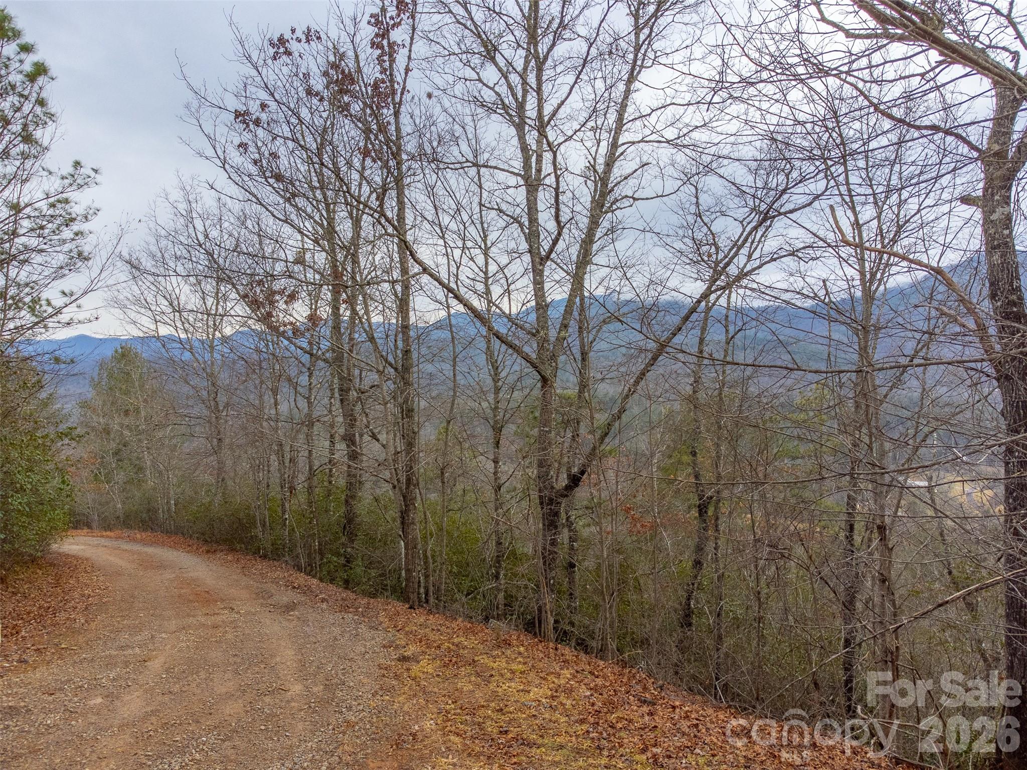 9999 Lower Burningtown Road Franklin, NC 28734 - Photo 8 of 26 a view of a yard with trees
