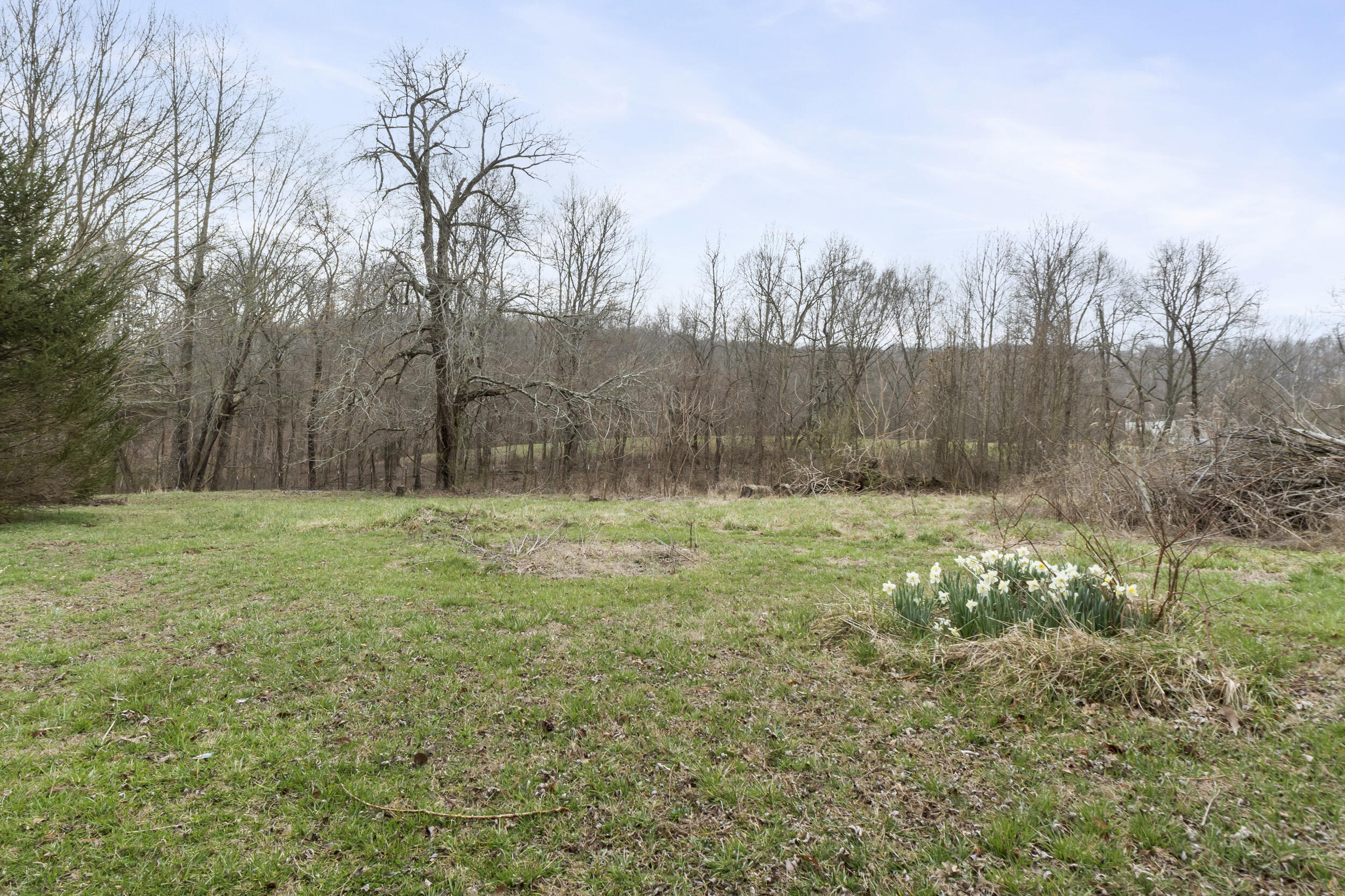 91 Dean Road Dunlap, TN 37327 - Photo 22 of 23 dsc03650