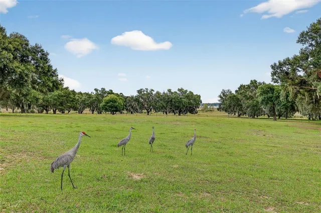 a living room with furniture a fireplace and a large window