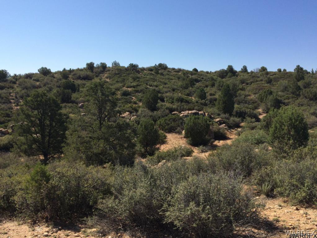 179 North Willows Ranch Road Kingman, AZ 86401 - Photo 13 of 17