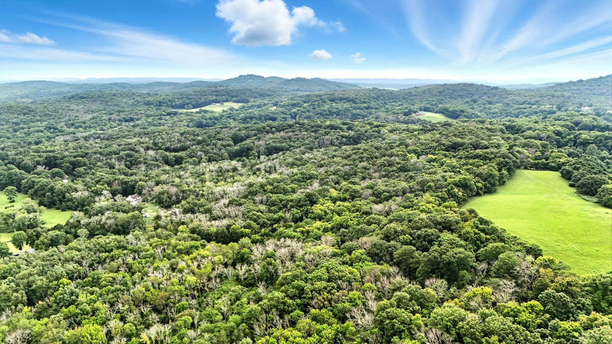 a view of a city with lush green forest