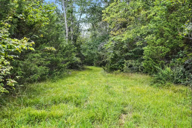 a view of a green field