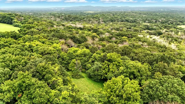 an aerial view of residential houses with outdoor space and trees