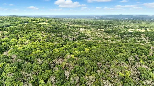 a view of a green field with lots of bushes