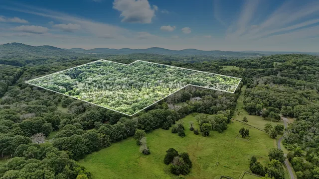 an aerial view of mountain with trees