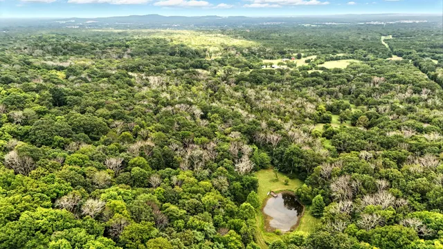 a backyard of a house with a yard and outdoor seating