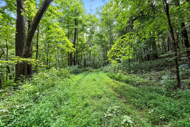 a backyard of a house with lots of green space