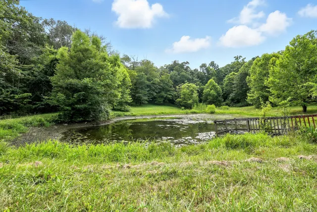 a view of a large yard with lots of green space and deers