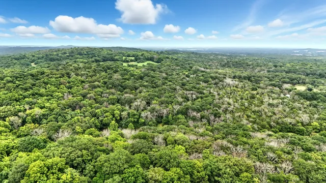 a view of a green yard
