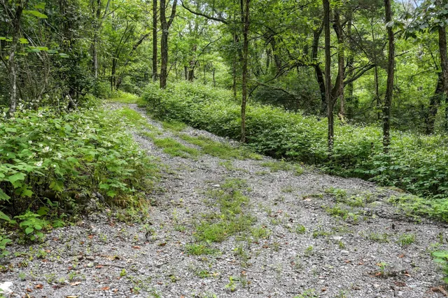 a view of an outdoor space and a yard