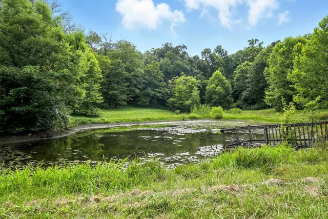 a view of a golf course with a lake