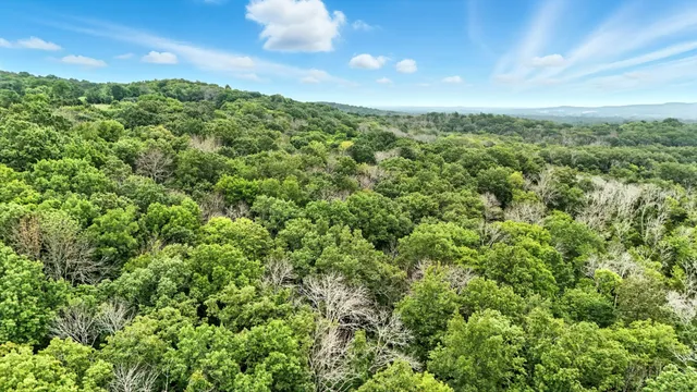a green field with lots of bushes