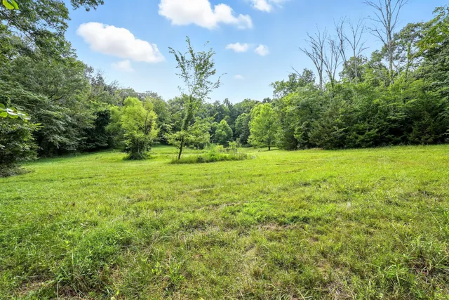 a backyard of a house with lots of green space