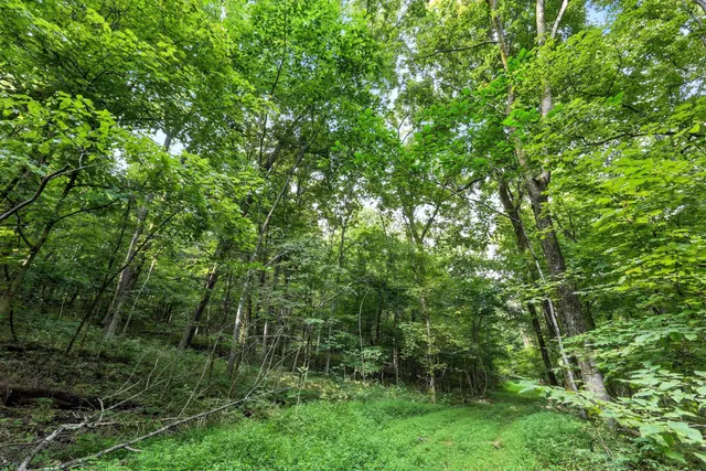 a view of yard with green space