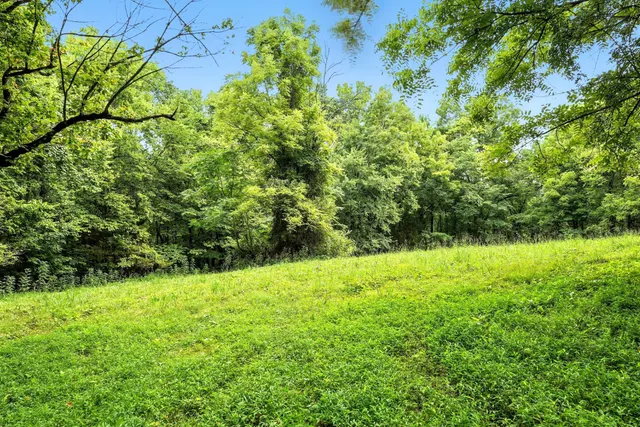 a view of a outdoor space