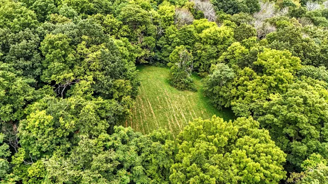 a view of outdoor space and green space