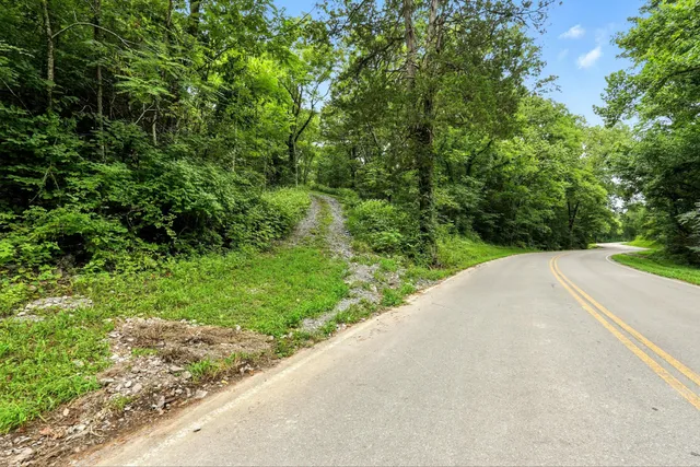 a view of a big yard with large trees