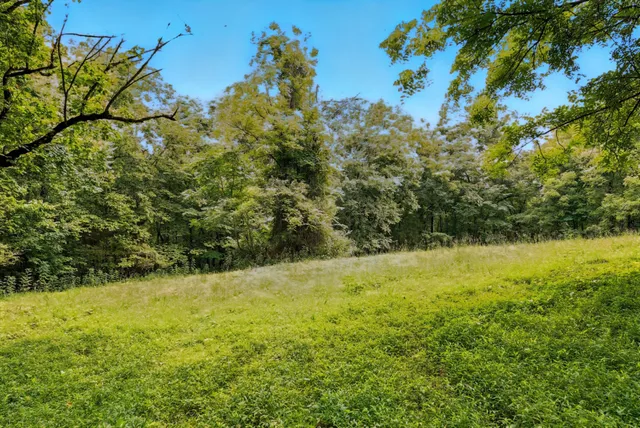 an aerial view of residential houses with outdoor space and trees