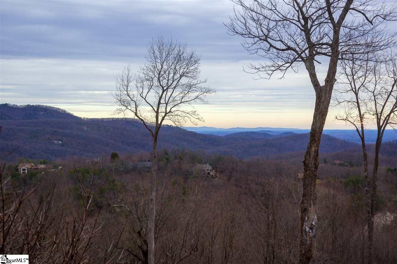 2 Goshawk Drive Landrum, SC 29356 - Photo 2 of 30