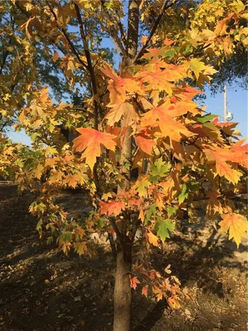 $4,500 | 77 Red Hawk Lane, Mound City, KS 66056