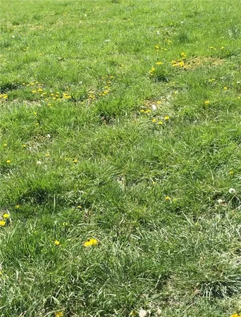 $4,500 | 77 Red Hawk Lane, Mound City, KS 66056