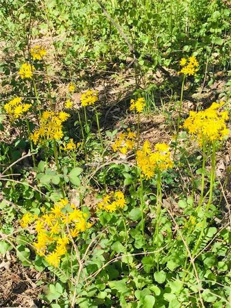 $4,500 | 77 Red Hawk Lane, Mound City, KS 66056