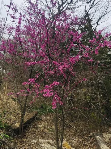 $4,500 | 77 Red Hawk Lane, Mound City, KS 66056