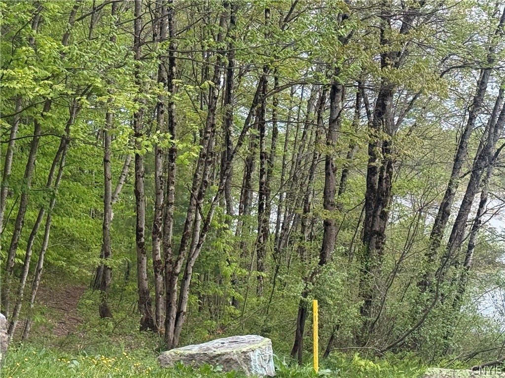 Lot #9 Lost Ridge Road, Unit 9 Camden, NY 13316 - Photo 24 of 27