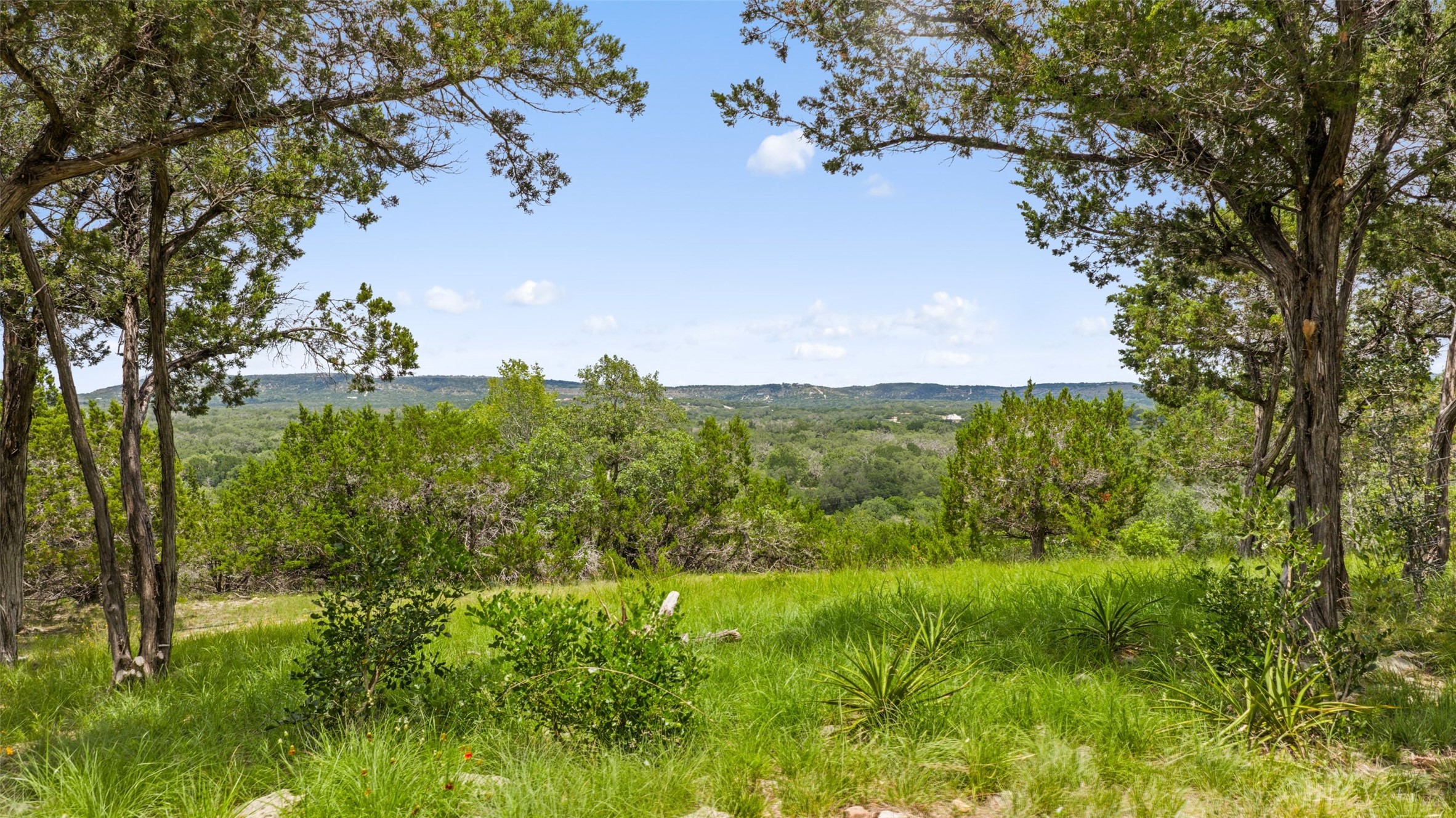 505 Red Corral Ranch Road Wimberley, TX 78676 - Photo 11 of 40 A tranquil, elevated lot with verdant trees framing a distant, serene landscape.