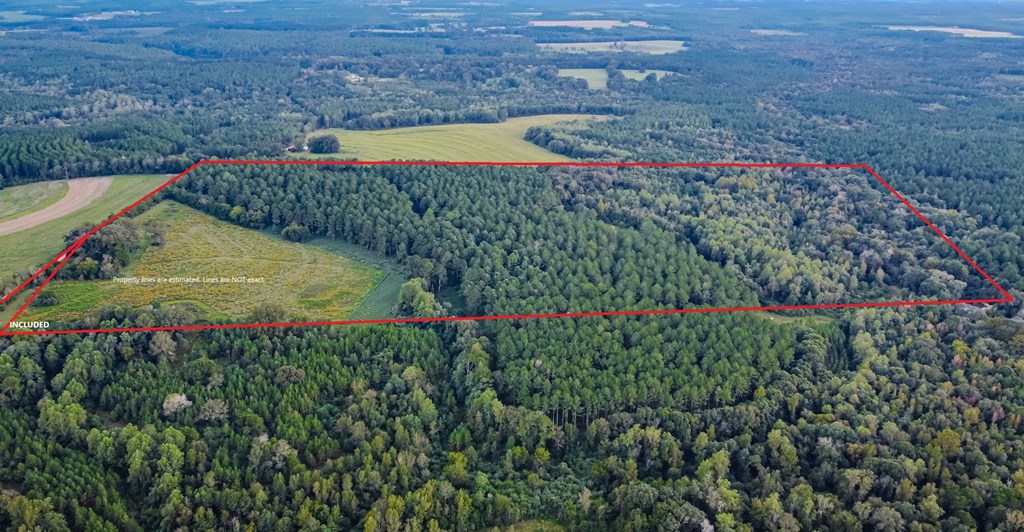 0 Double Creek Road Coffee Springs, AL 36318 - Photo 22 of 24