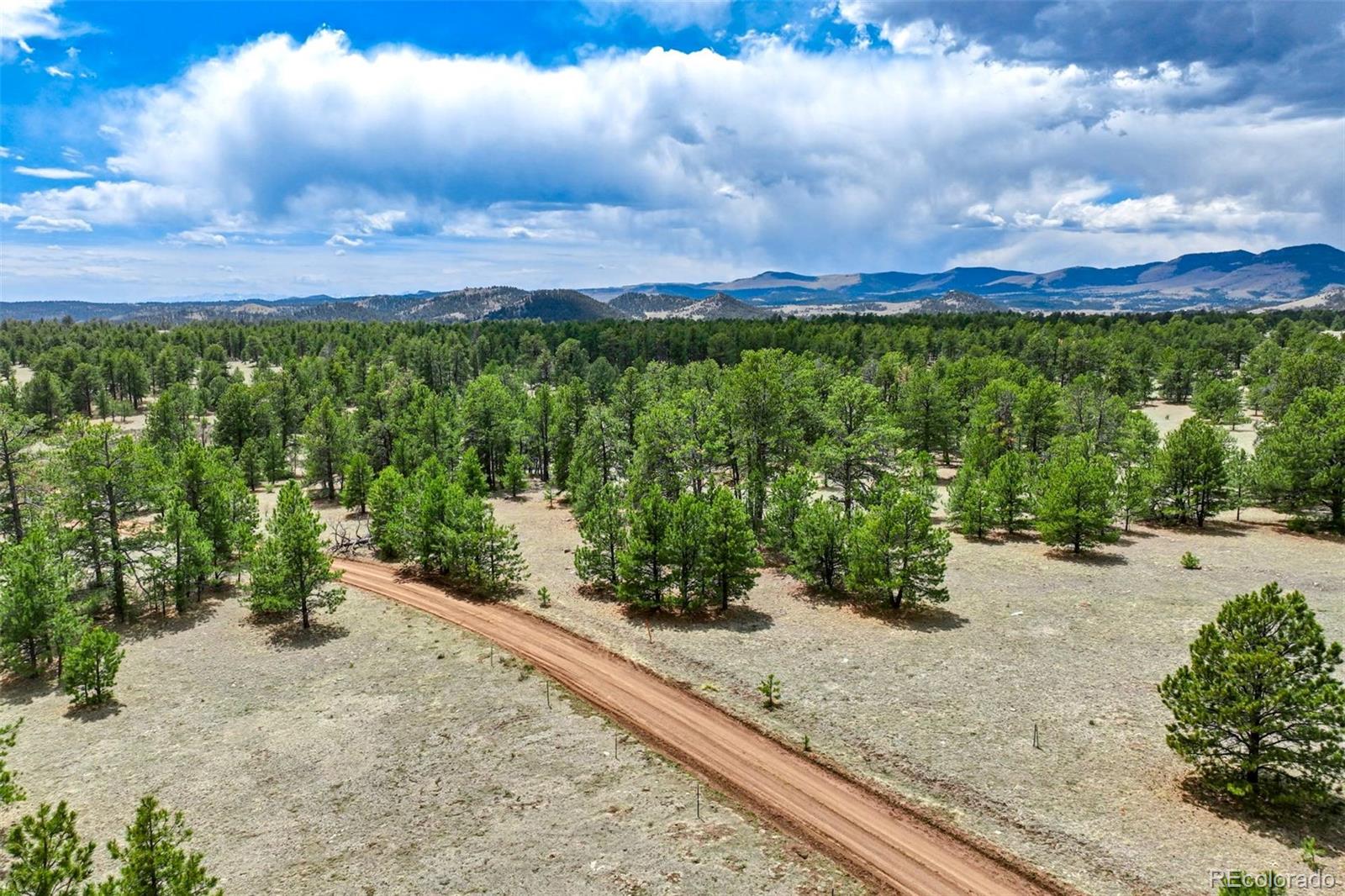 103 Doe Valley Road Guffey, CO 80820 - Photo 40 of 46