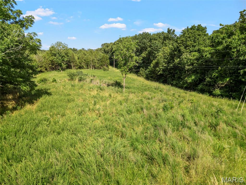 9-acres Timber Ridge Drive Marthasville, MO 63357 - Photo 10 of 22