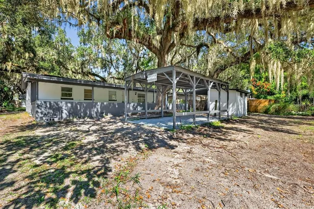 a view of a yard with plants and large trees