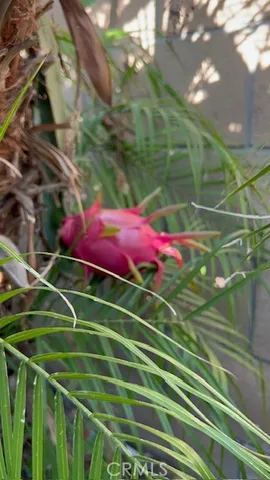 a green field with lots of trees in front of it
