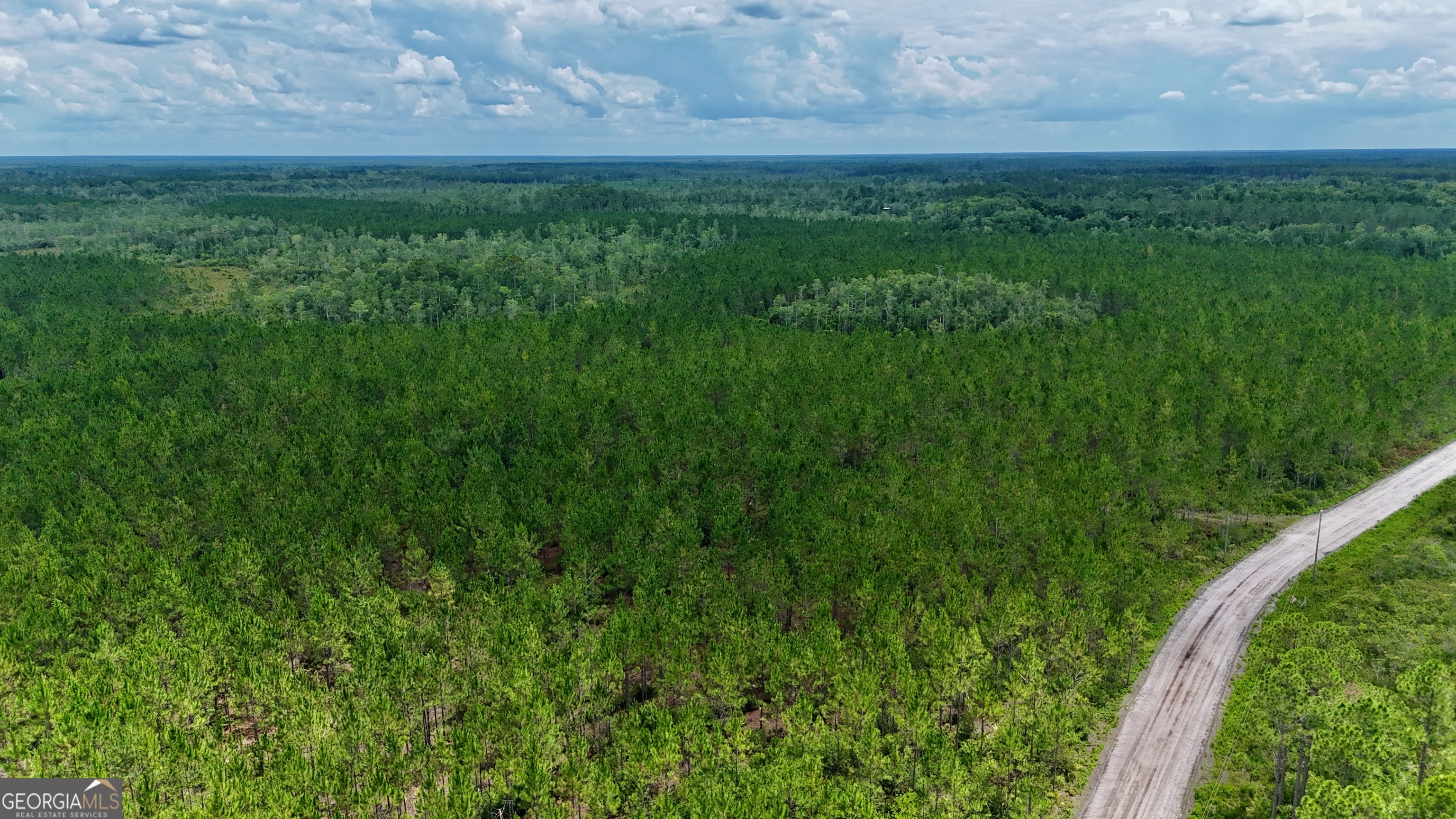 0 Fire Tower Road Manor, GA 31550 - Photo 6 of 6