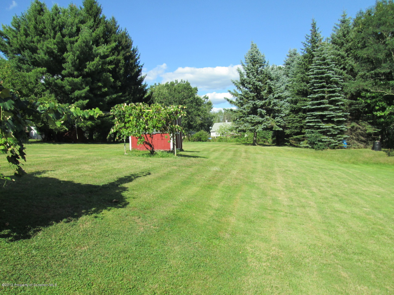 1287 Mt Cobb Road Lake Ariel, PA 18436 - Photo 3 of 12 a view of a trees with a yard