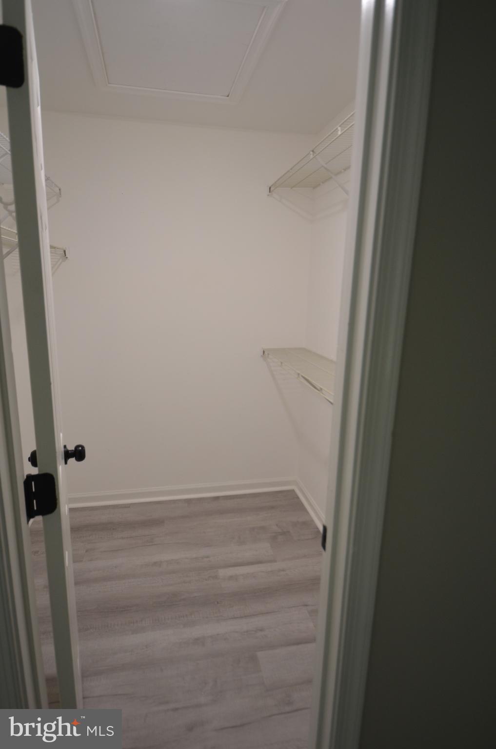 7559 Westmore Drive Springfield, VA 22150 - Photo 19 of 42 Walk-in Closet in Primary Bedroom