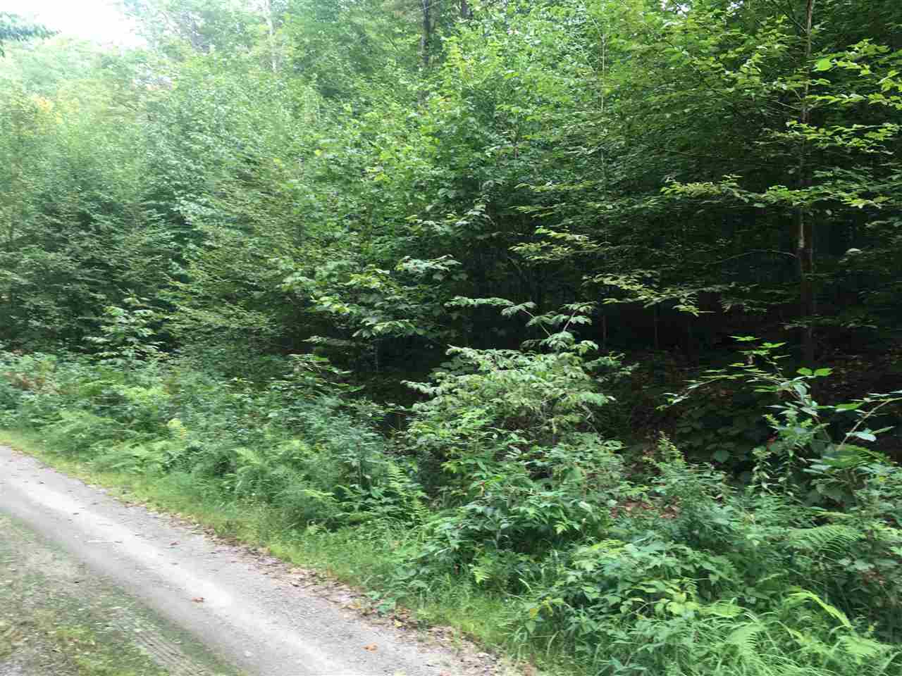 Rist Hill Road Proctorsville, VT 05153 - Photo 3 of 7