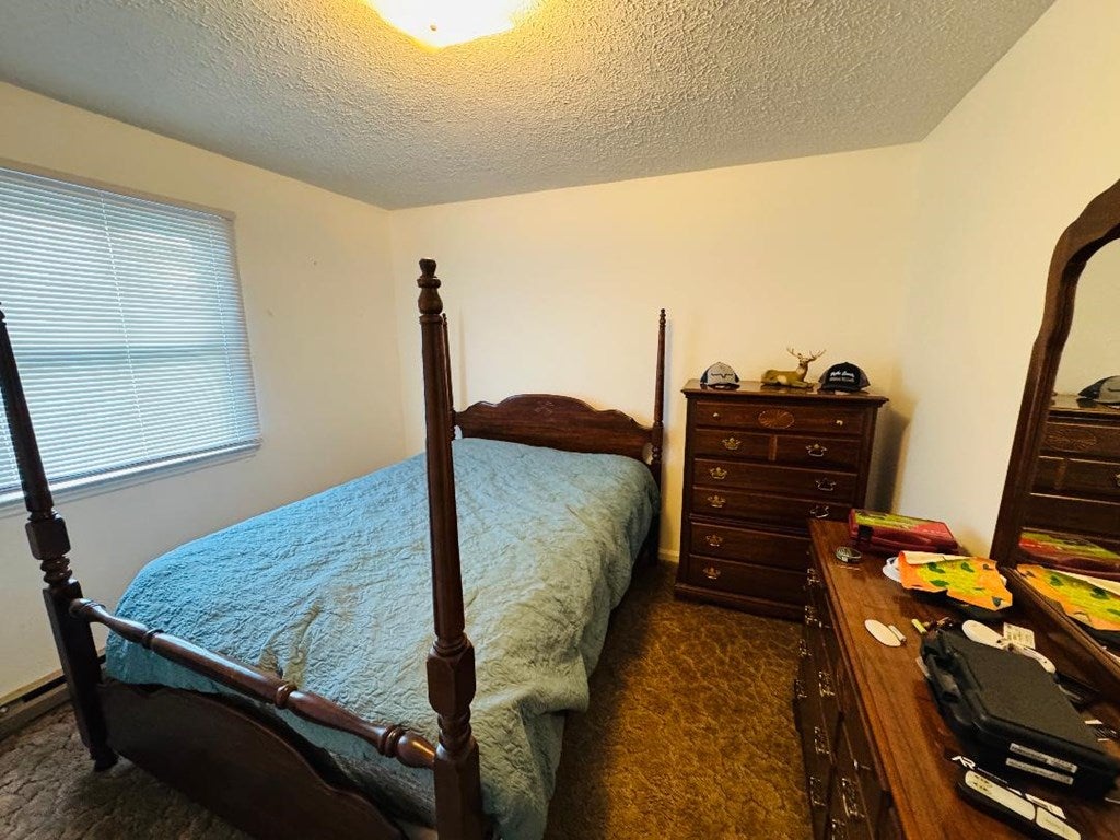 559 Hardscuffle Road Hillsville, VA 24343 - Photo 21 of 28 Gallery Image 21