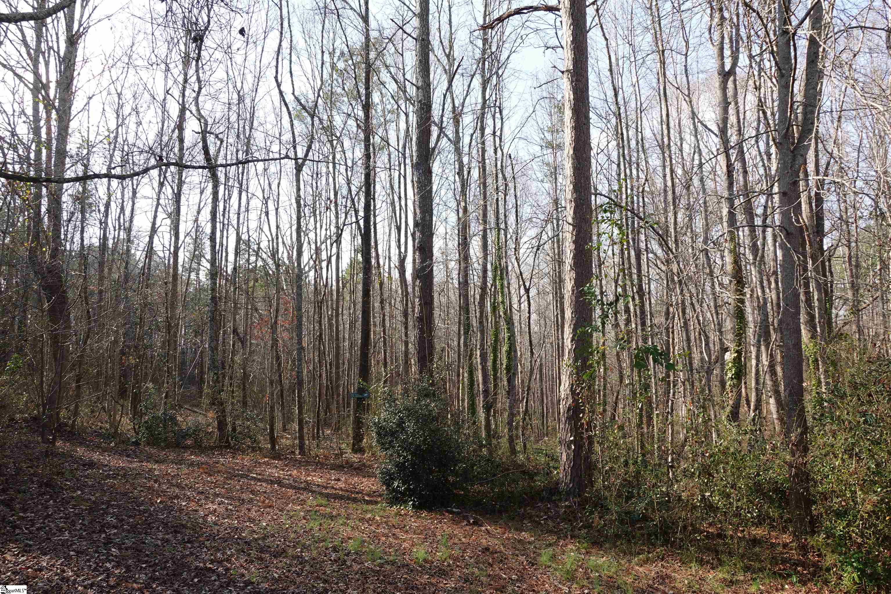 1607 Sexton Gin Road Starr, SC 29684 - Photo 5 of 25