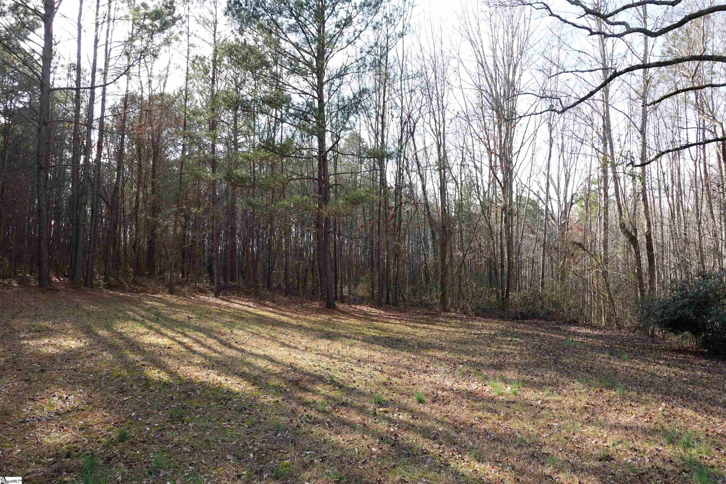 1607 Sexton Gin Road Starr, SC 29684 - Photo 6 of 25