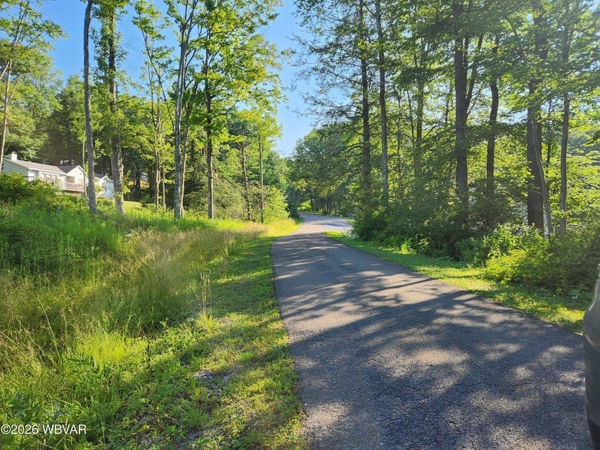 Lot #4 Rider Lane Muncy Valley, PA 17758 - Photo 4 of 6 Gallery Image 4