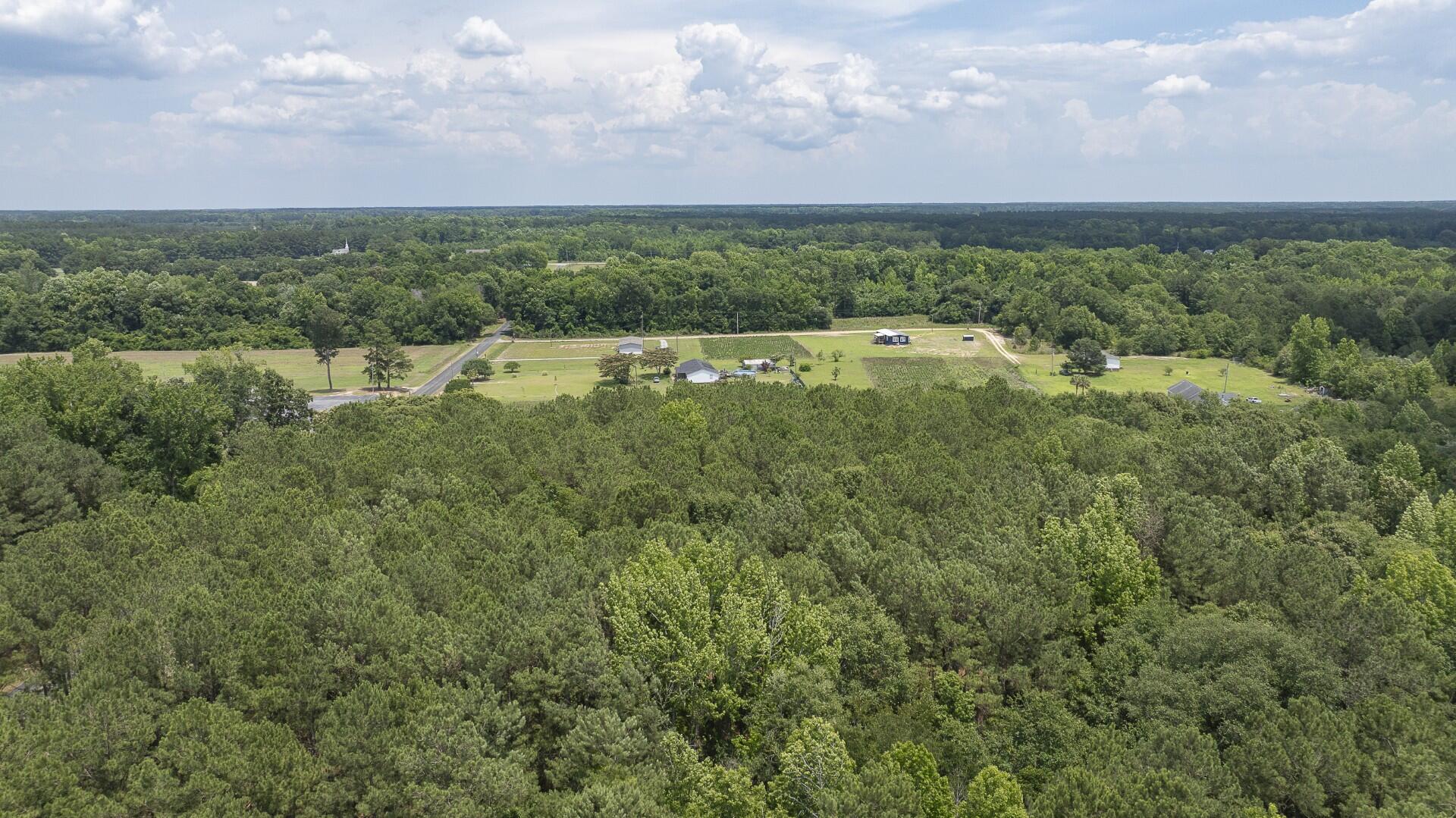 2 Joseph Lemon And Dingle Road Manning, SC 29102 - Photo 20 of 44